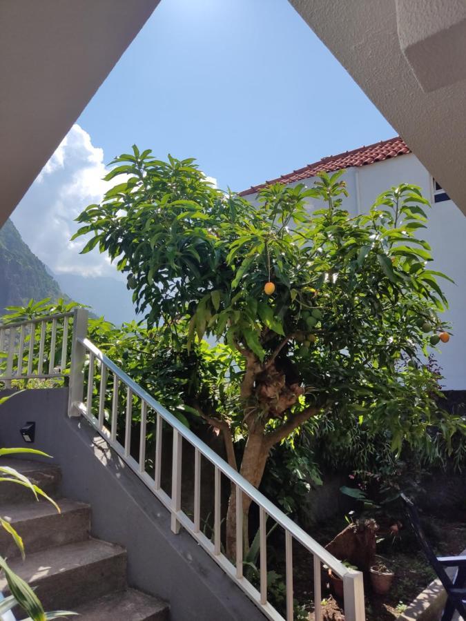 Casa Da Avo Rosa Apartment Sao Vicente  Exterior photo